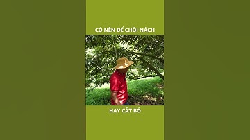 Tầm quan trọng của cành bơi khi làm bông #shorts