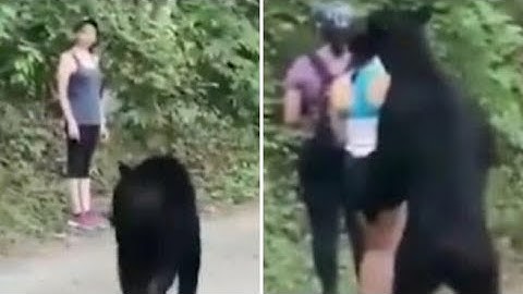 Messico, l’orso arriva alle spalle della ragazza: lei resta calma e scatta anche un selfie