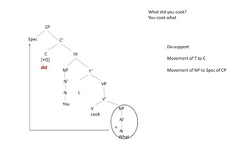 wh questions tutorial