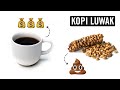 Kopi Luwak/Civet Poop Coffee: Disgusting or Delightful?