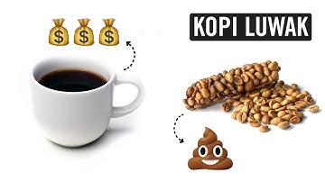 Kopi Luwak/Civetpoepkoffie: Walgelijk of heerlijk?