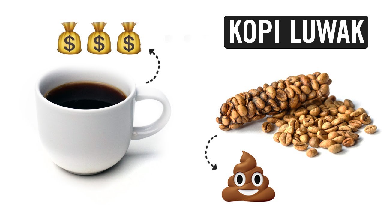 James Hoffmann - Kopi Luwak/Civet Poop Coffee: Disgusting or Delightful? :  r/Coffee