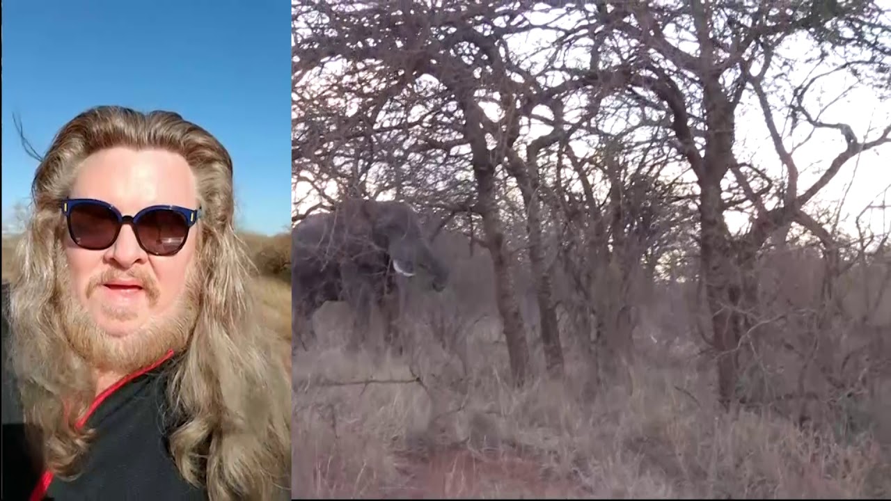 Dr.Thomas Manton IV's Safari! Enjoy!