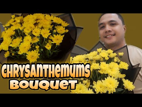 Video: Jinsi Ya Kuweka Bouquet Ya Chrysanthemums Tena?