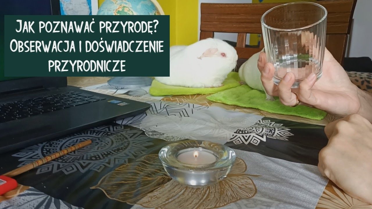 Jak poznawać przyrodę? Obserwacja przyrodnicza i doświadczenie