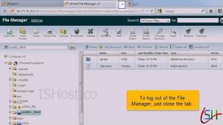 How to access cPanel File Manager