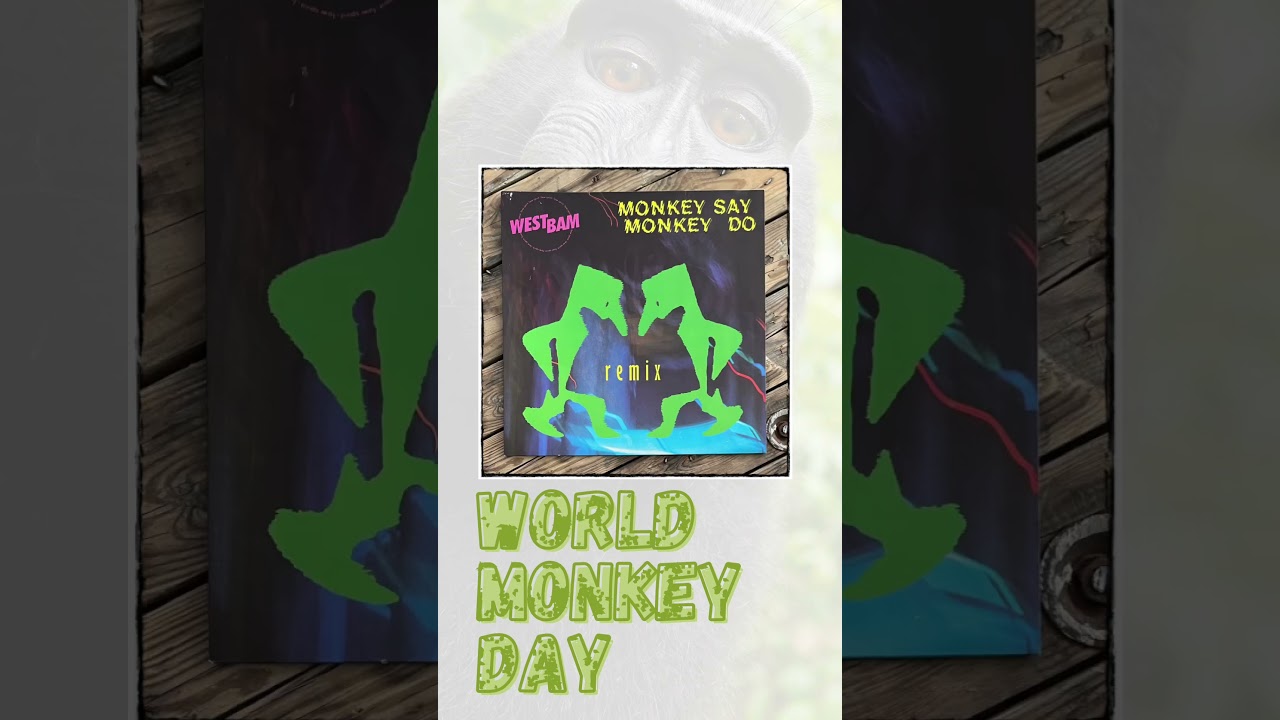 WORLD MONKEY DAY | 14/12