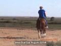 SOLD - MISS DUAL CEE 2011 mare by Mister Nicadual - REINING HORSE FOR SALE