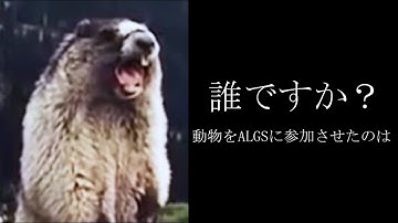 【ALGSﾌﾟﾚ予選#4決勝②】動物みたいに叫ぶ奴がいるチームがプロリーグ賭けた決勝で1位？？！【RPG/ともろう。/切り抜き】#RPGWIN #RadicalPopGaming #apex