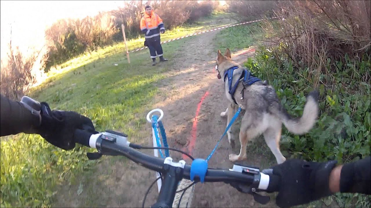 BIKEJORING VILLAMARTIN YouTube