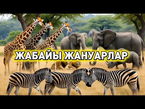 Жабайы көлде жалаңаш жүрген жастардың видеосы