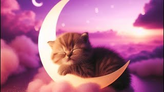 Cute Wallpaper Aesthetic part 1 ( kitten with crescent moon ) 🌙✨😻 #cat #wallpaper #cute  #youtube screenshot 1