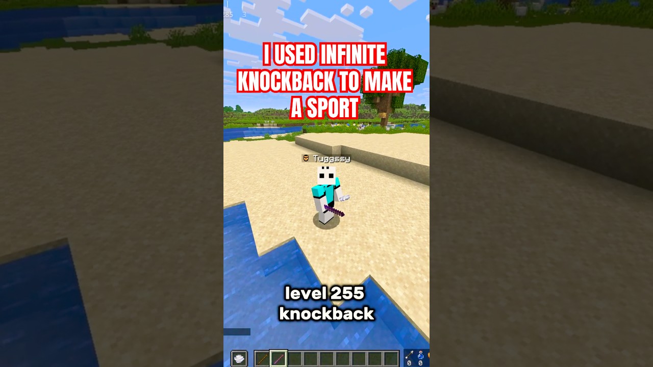 I Used the Highest Knockback Stick in Minecraft… and Made a Sport