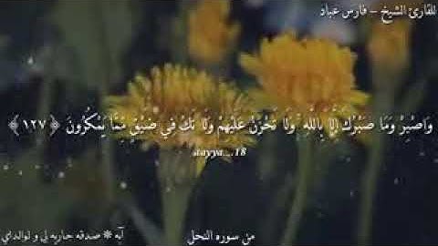 قرآن الكريم آية تشرح الصدر 😍 الوصف مهم...