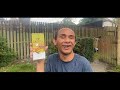 Gipsy Adidas Mix Cardase Dubai Sigma Official Videoklip 2025