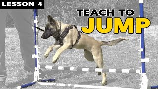 Teach Your Puppy to JUMP  Dog Obedience