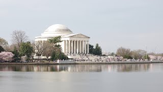 Journey with Jonah - Jefferson Memorial, Washington DC (4K)