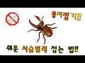 종이접기 쉬운 한장 사슴벌레 접기 튜토리얼 !! / Easy origami stag beetle tutorial   김영웅/ origami_kimiro