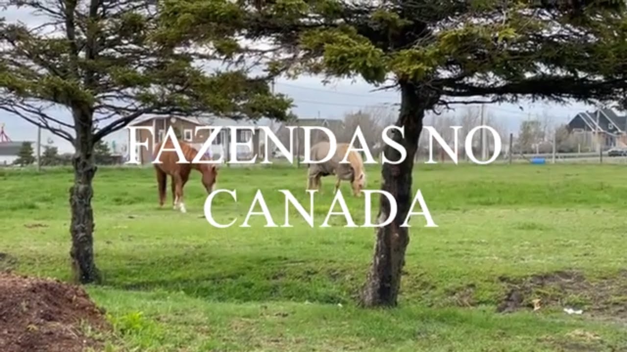 FAZENDAS NO CANADA