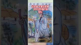 양띠 오늘의운세 2025년4월11일 운세 #운세 #오늘의운세 #양띠운세