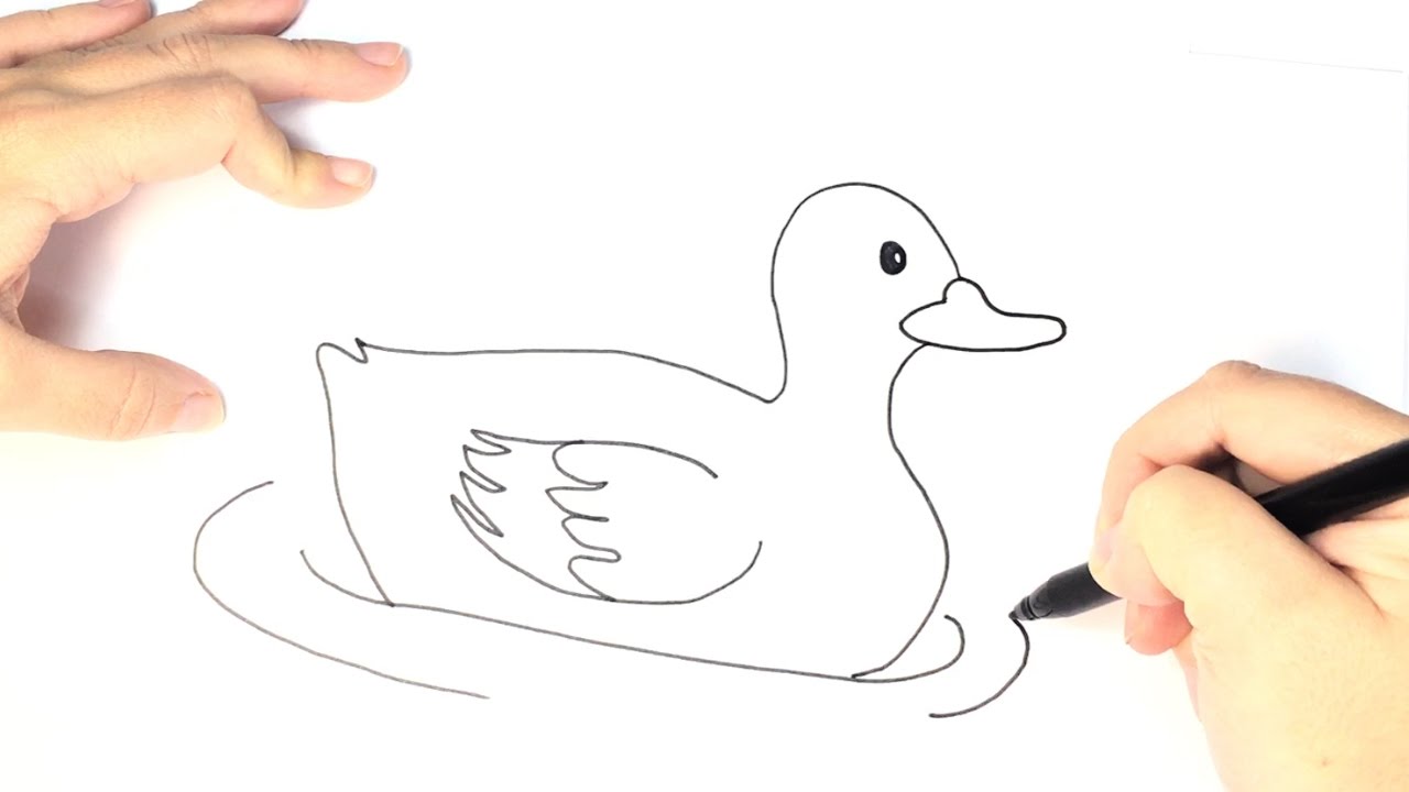 How To Draw A Duck Step By Step For Kids