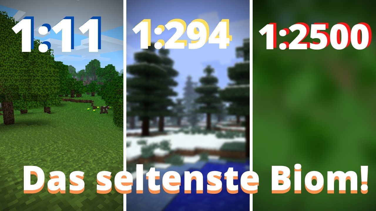 Was Ist Das Seltenste In Minecraft