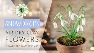 Snowdrops  Air Dry Clay Flowers Master Class