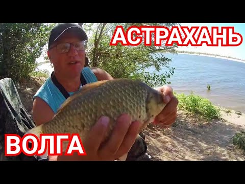 Рыбалка на волге дикарем