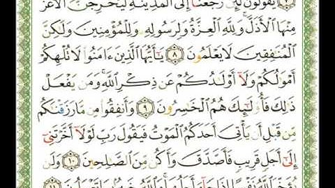 063   سورة المنافقون   شيرزاد عبد الرحمن طاهر