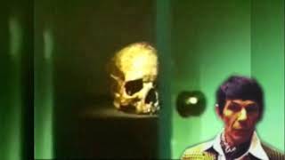 hot skull by Zorak 1,363 views 1 year ago 21 seconds