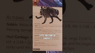 A WILD JIMOTHY APPEARS!!! ๐ฆ | Dungeon Masters #dungeonsanddragons #dnd