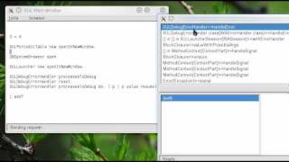 Smalltalk IDE as XULRunner remote XUL application on Seaside (SeasideXUL)