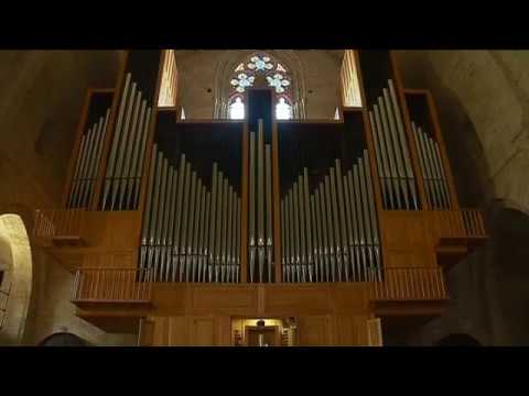 Reportage France 3 Orgue de Sylvanès "la voix de l'abbaye" JUIN 2017,