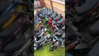 Halo Halo halo peminat Bundle