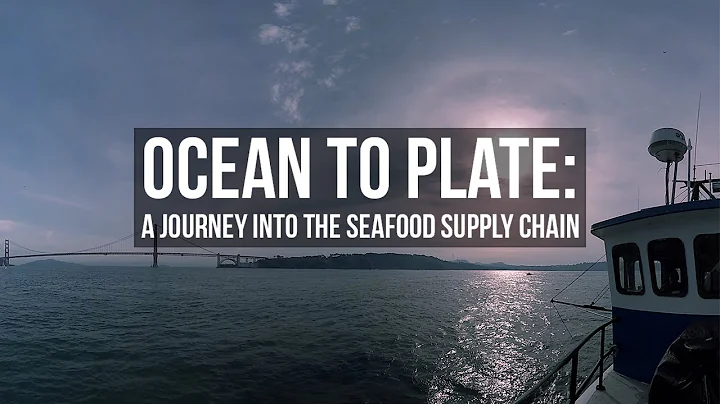 Ocean to Plate: A Journey into the Seafood Supply Chain - DayDayNews