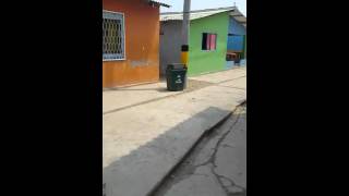 Islote de San Bernardo, un islote con superpoblación !!