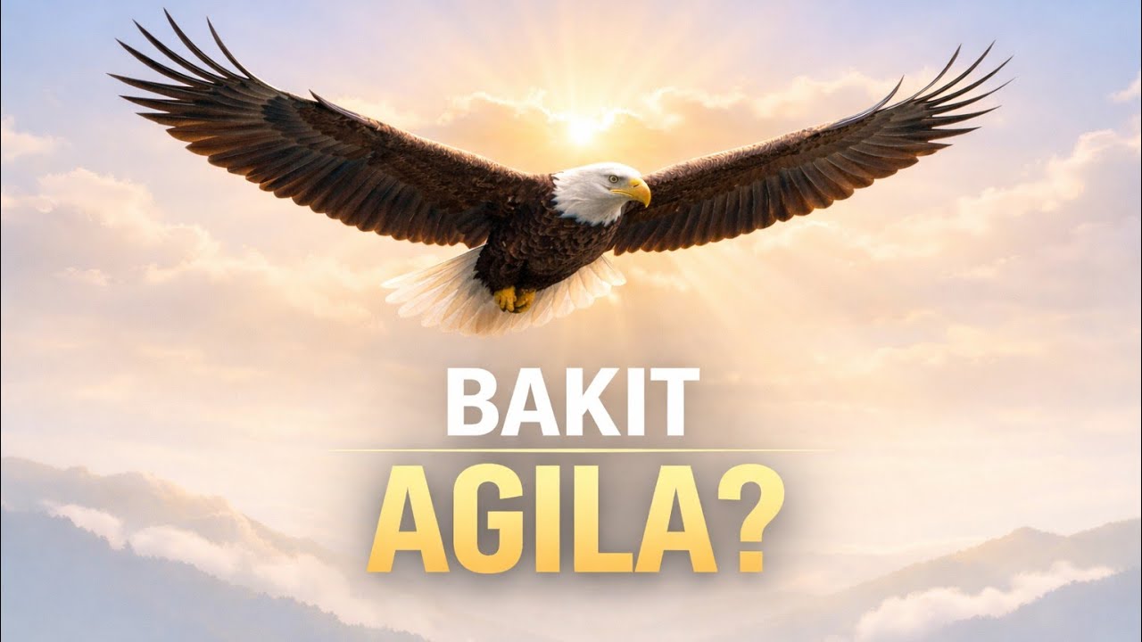 LIFE LESSONS FROM THE EAGLE