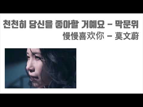 [노배중] 예쁜 노랫말에 들으면 눈물 나는 곡 | 천천히 당신을 좋아할 거예요 - 막문위(한자,병음,발음,해석)