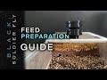 How to hatch black soldier fly eggs maximize larvae production for your farm