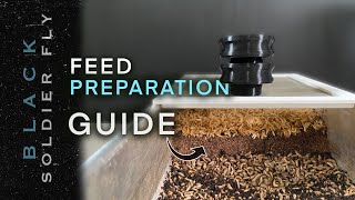 How to Hatch Black Soldier Fly Eggs: Maximize Larvae Production For Your Farm