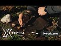 Ateş Yakma Teknikleri : Mercekleme / Mercekle Ateş Yakmak