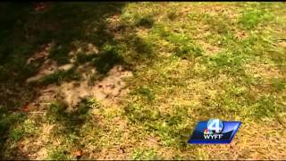Chris Justus explains scattered summer storms