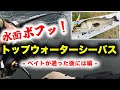 水面ボフ！東京湾奥トップウォーターシーバス！ - ベイトが通った後には編 -