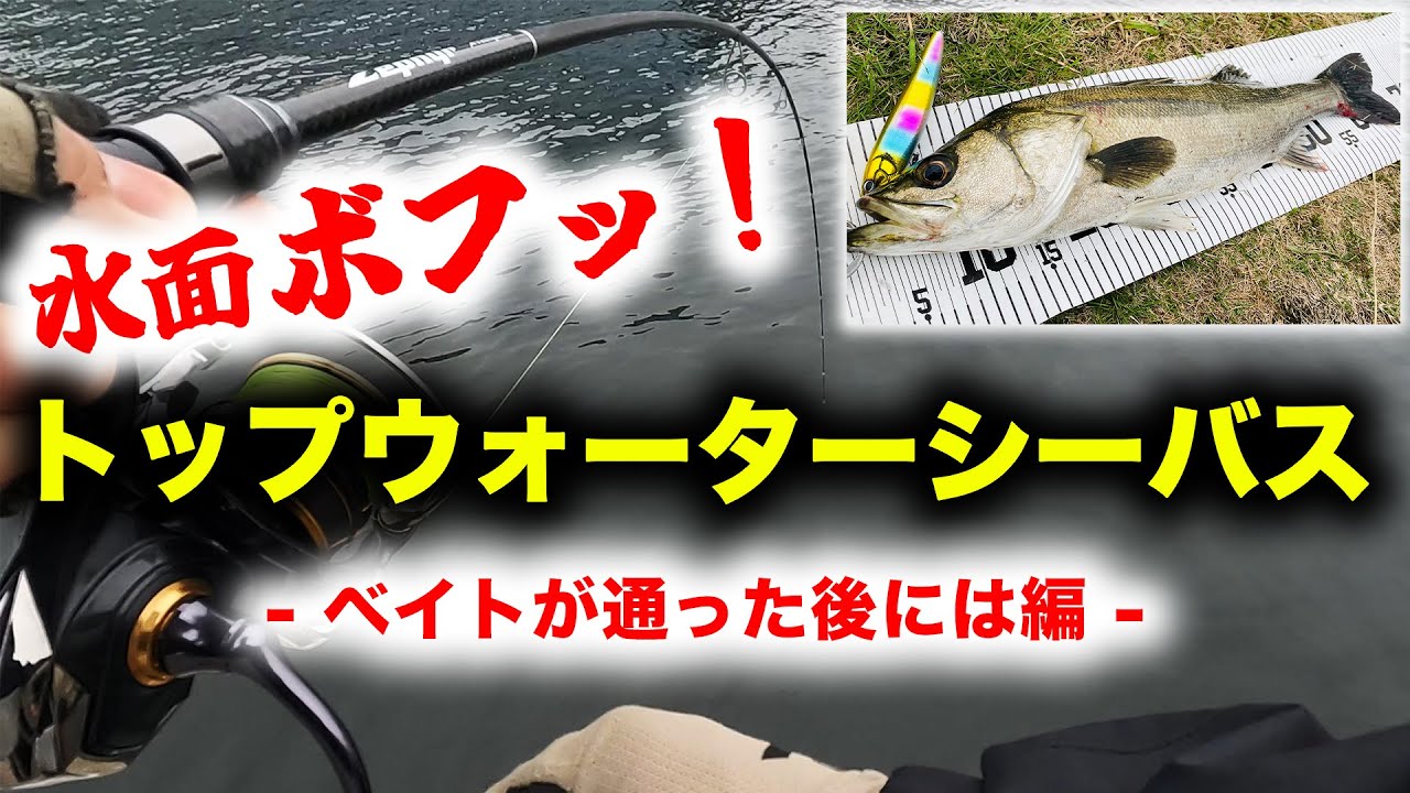 バラシ激減のシーバスロッド！ - ストリームウィップ87を使った