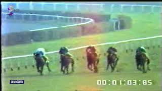 15 KASIM 1986 ATIF ESENBEL KOŞUSU ( BOURBON )