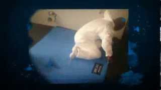 Waterproofing Protection-Builders Products