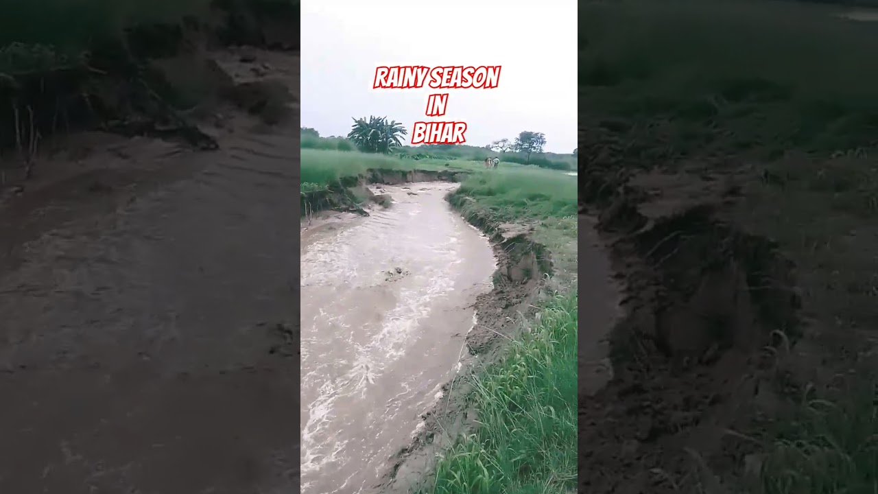 Dangerous || Heavy rain || Bihar || 