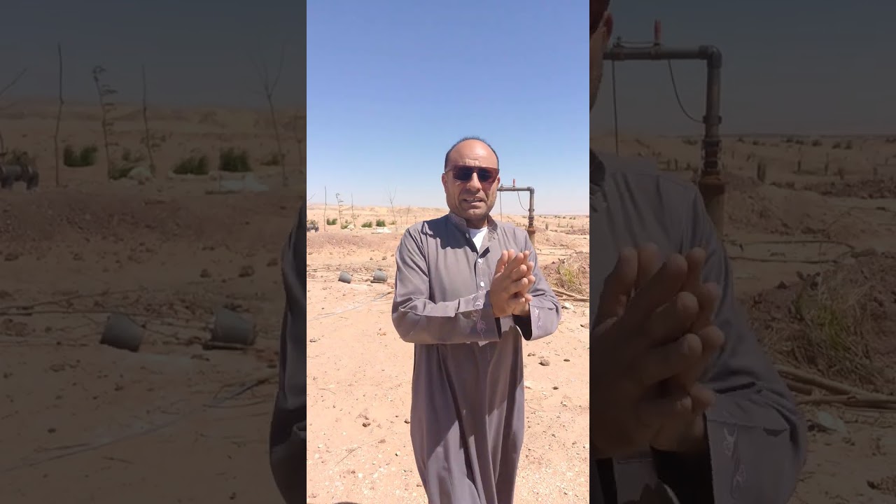 مشروعات الزراعه الجديده في الوادي الجديد. واستخدام الطاقة الشمسية للاستفسار واتساب 01080457983