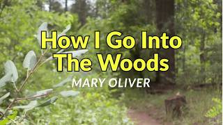 How I Go Into The Woods by Mary Oliver.  Poetry That Lives.
