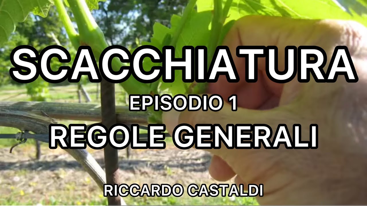 Vite. La scacchiatura: regole generali